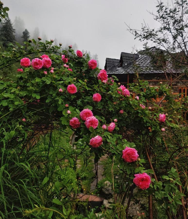 Old Brahma Homestay Kalgha Buitenkant foto