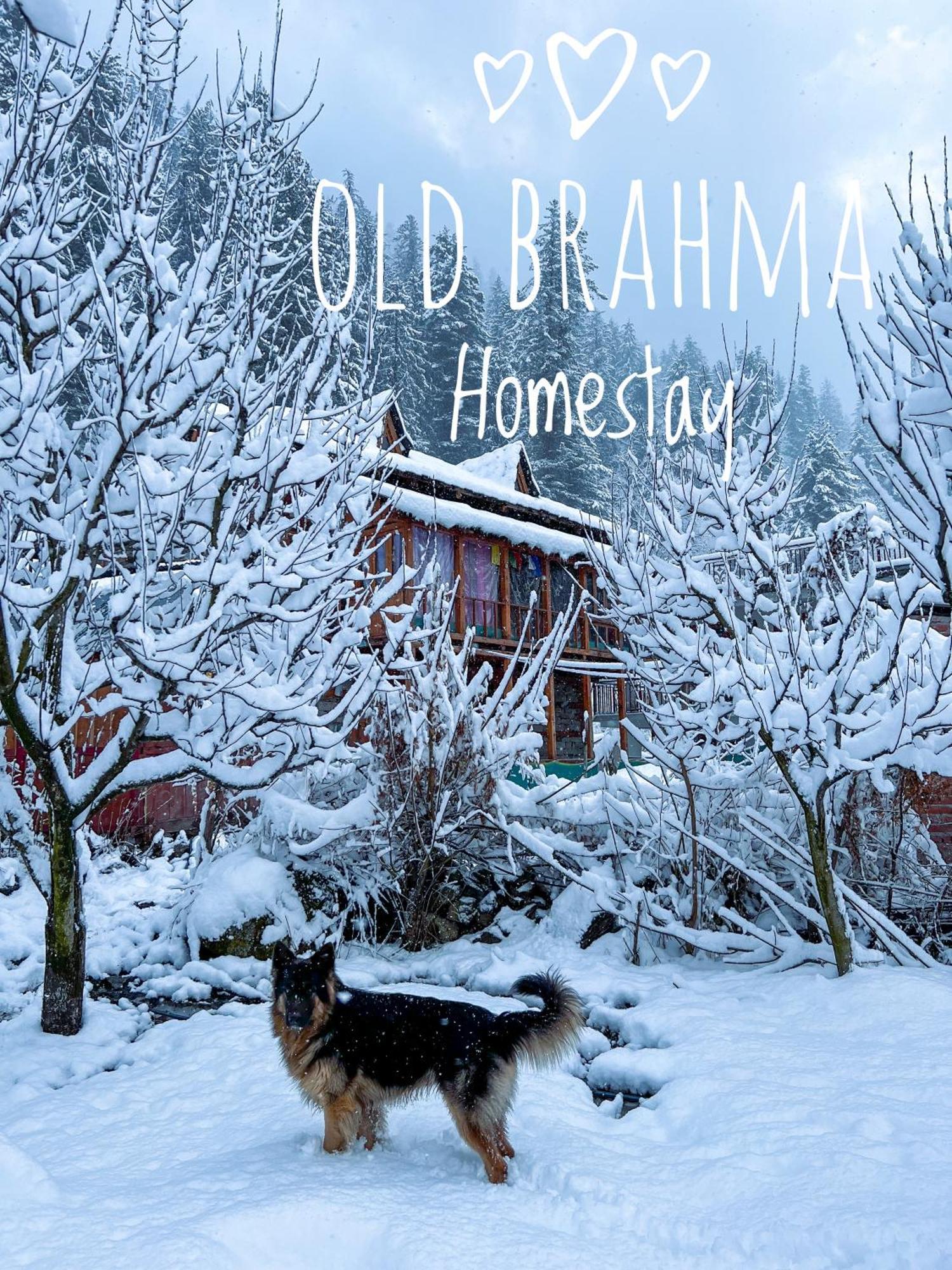 Old Brahma Homestay Kalgha Buitenkant foto
